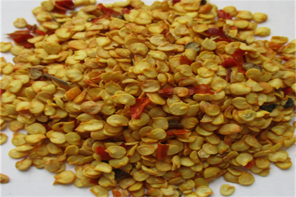 Chili seeds 印度籽 Chili seeds 印度籽